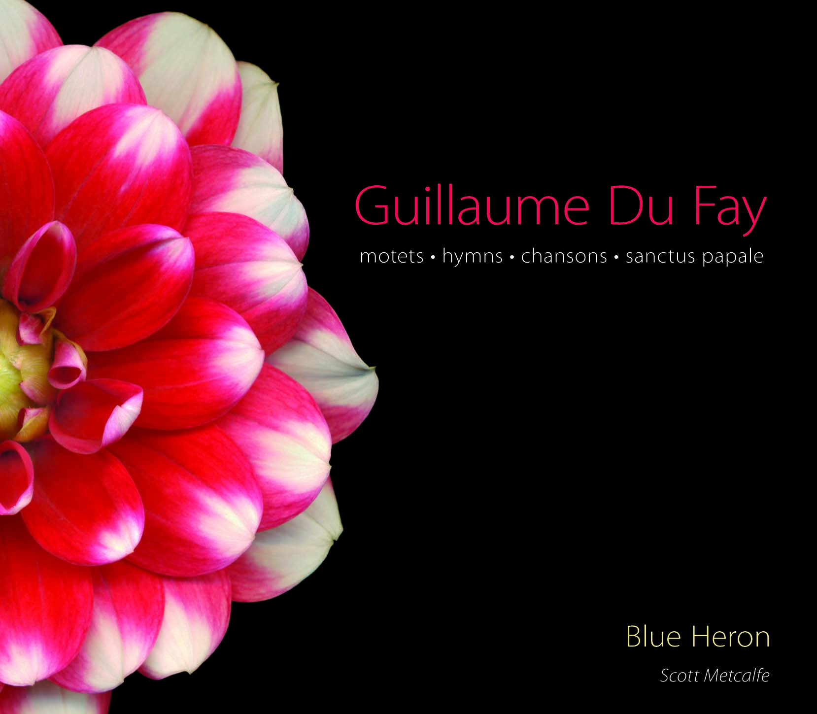 Guillaume Du Fay Motets Hymns Chansons Sanctus Papale Blue Heron Guillaume Du Fay Motets Hymns Chansons Sanctus Papale Blue Heron